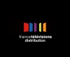 Moving logo  - france télévisions (2013)