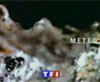 Générique météo - TF1 (1999)