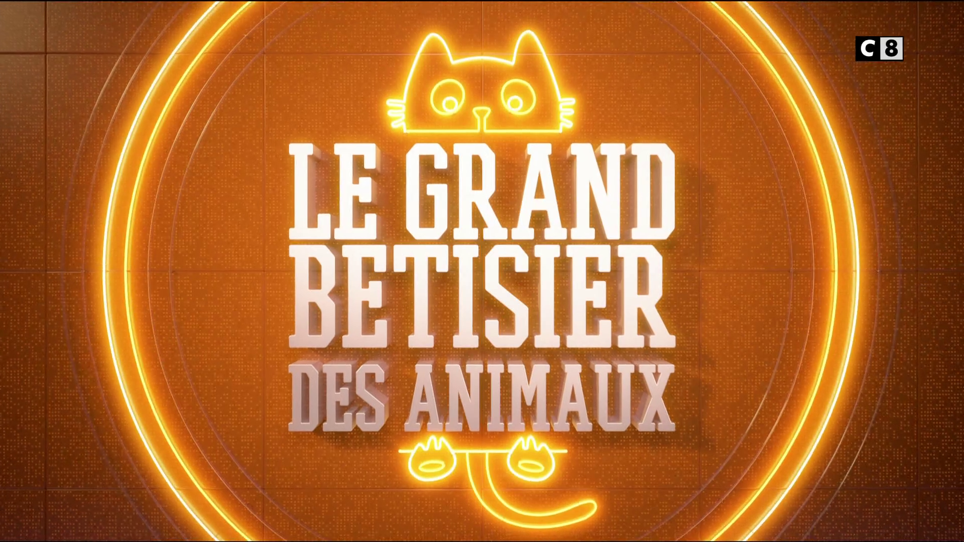 vidéo Générique Le Grand Bêtisier des Animaux C8 2018